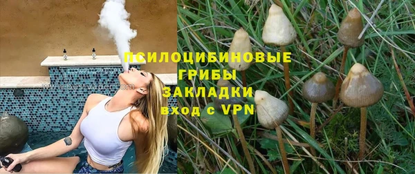стаф Семилуки