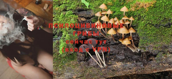 ПСИЛОЦИБИНОВЫЕ ГРИБЫ Семёнов